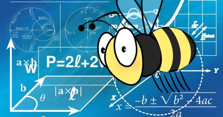 intelligence abeilles mathématiques